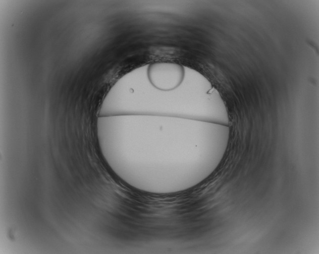 X0000098040759200804251039