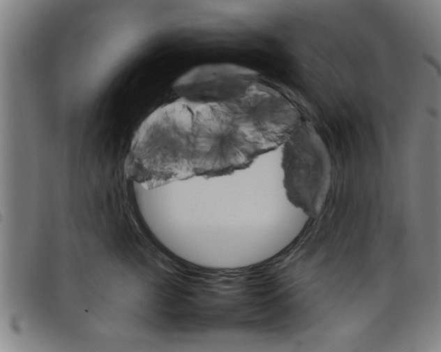 X0000098040761200804251039