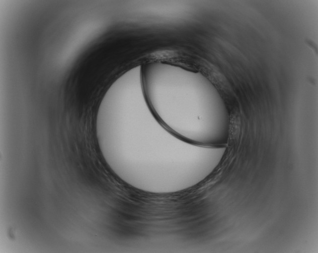 X0000098040762200804251039