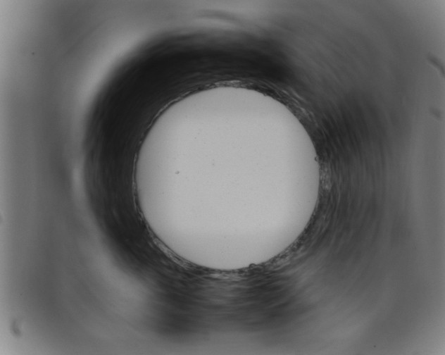 X0000098040763200804251039