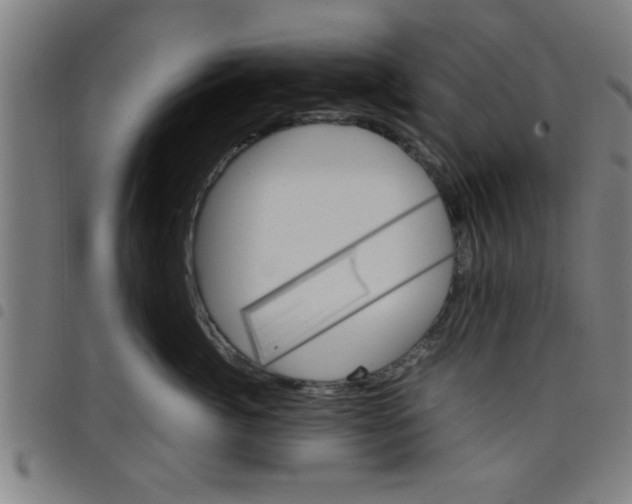 X0000098040764200804251039