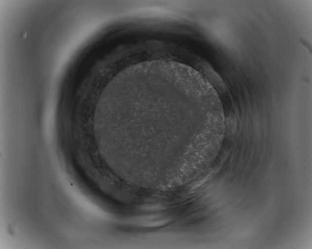 X0000098040765200804251039