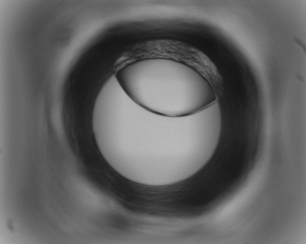 X0000098040766200804251039