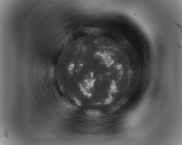 X0000098040767200804251039