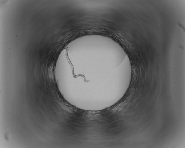 X0000098040770200804251039