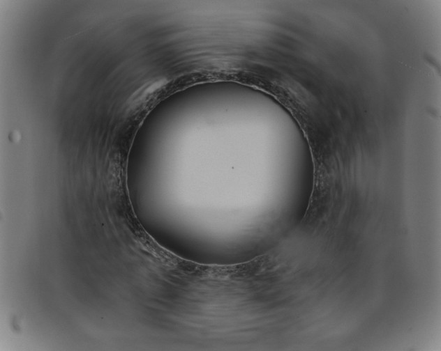 X0000098040773200804251039