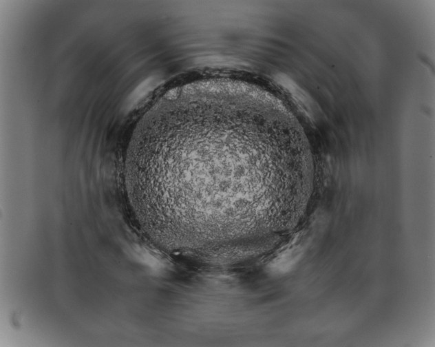 X0000098040775200804251039