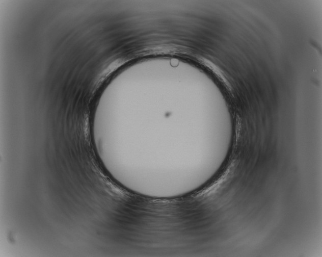 X0000098040778200804251039