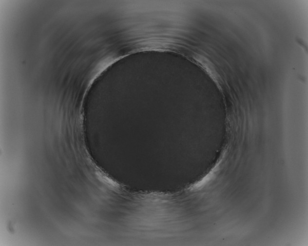 X0000098040779200804251039