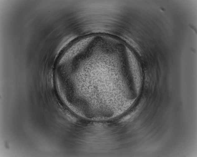 X0000098040782200804251039