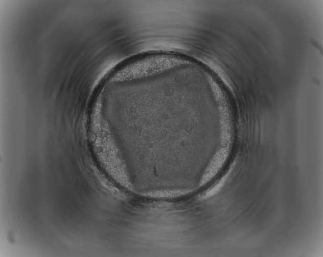 X0000098040783200804251039