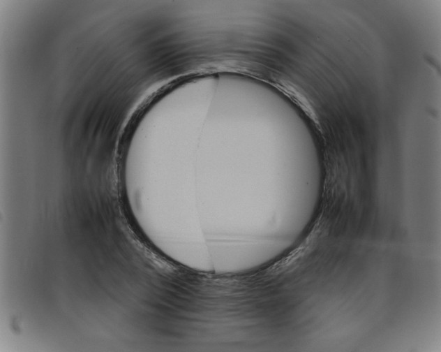 X0000098040784200804251039