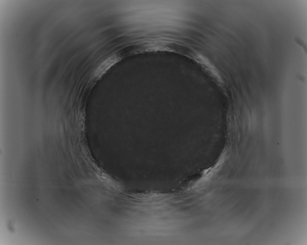 X0000098040785200804251038