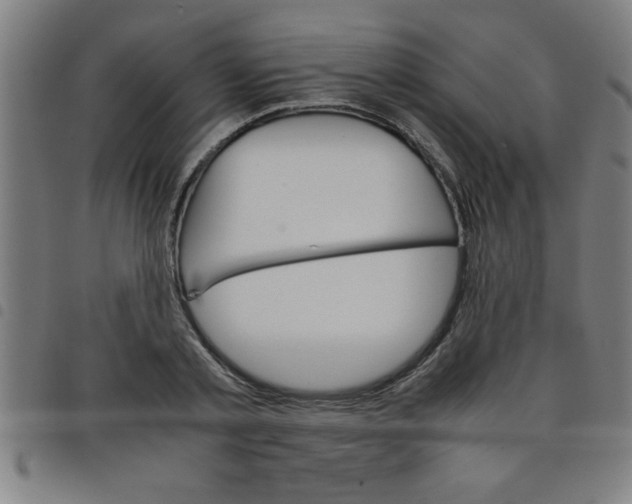 X0000098040789200804251038