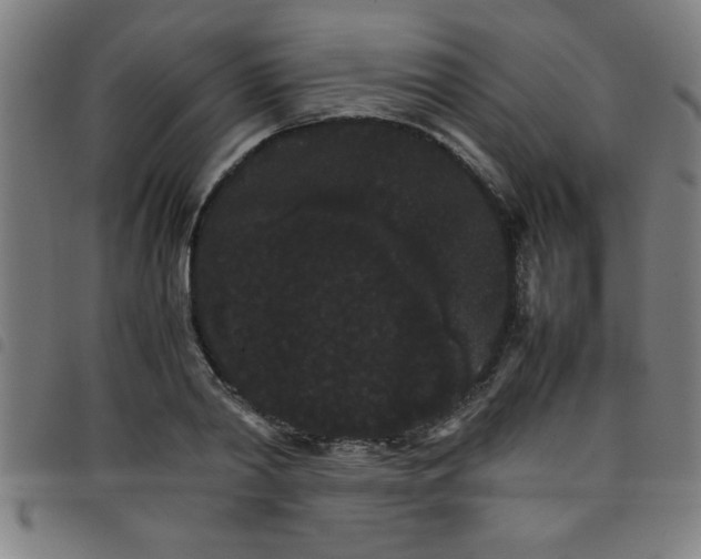 X0000098040790200804251038