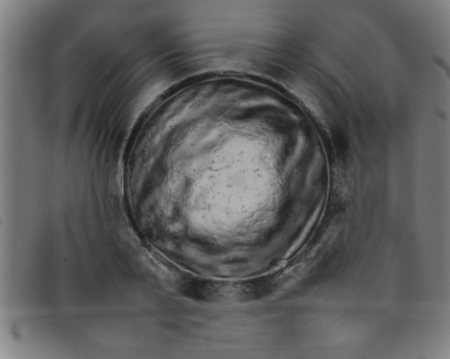 X0000098040791200804251038