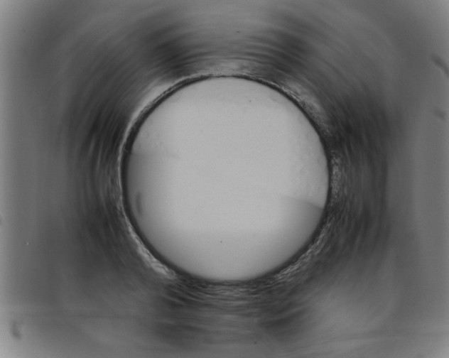 X0000098040792200804251038