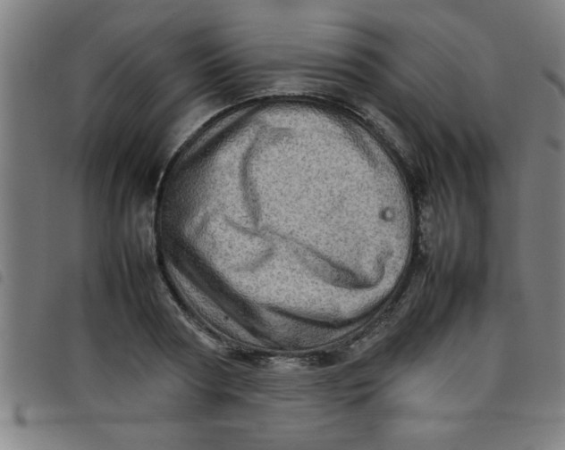 X0000098040794200804251038