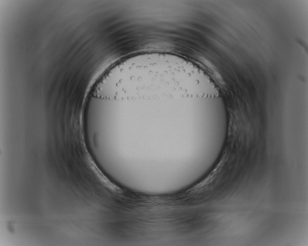 X0000098040796200804251038