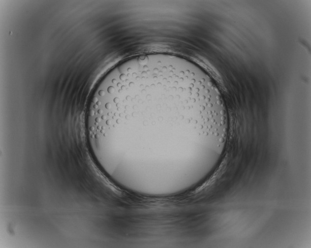 X0000098040798200804251038