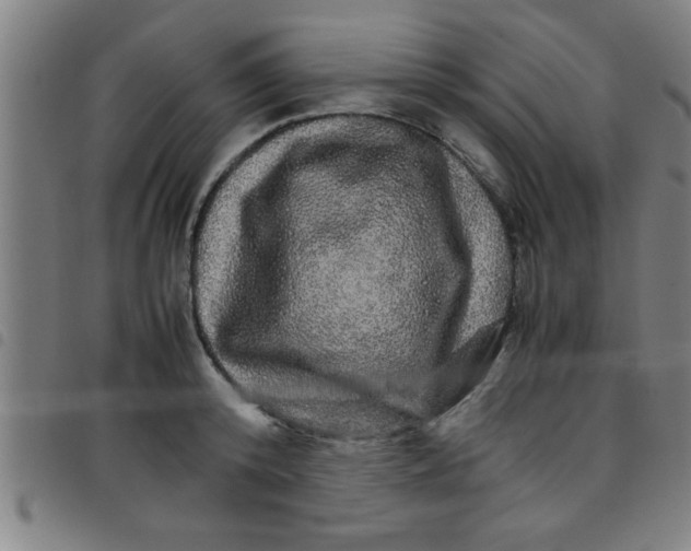 X0000098040800200804251038