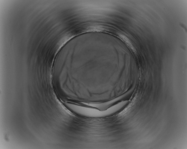 X0000098040802200804251038