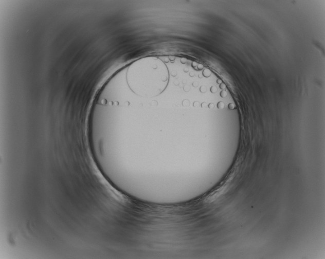 X0000098040803200804251038