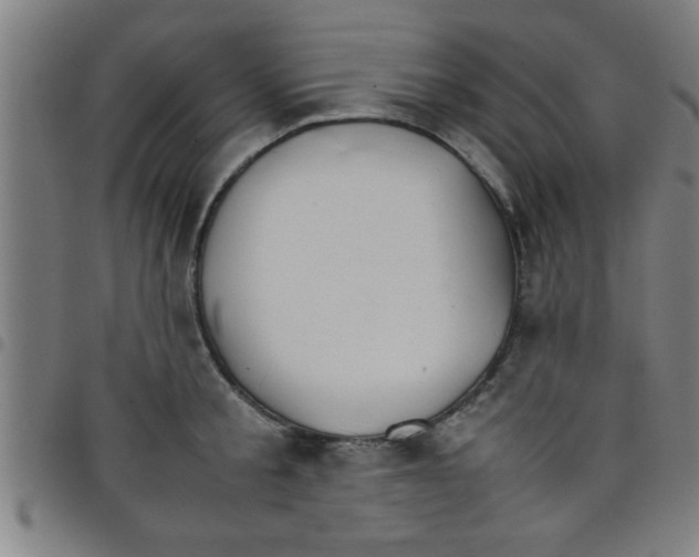 X0000098040805200804251038