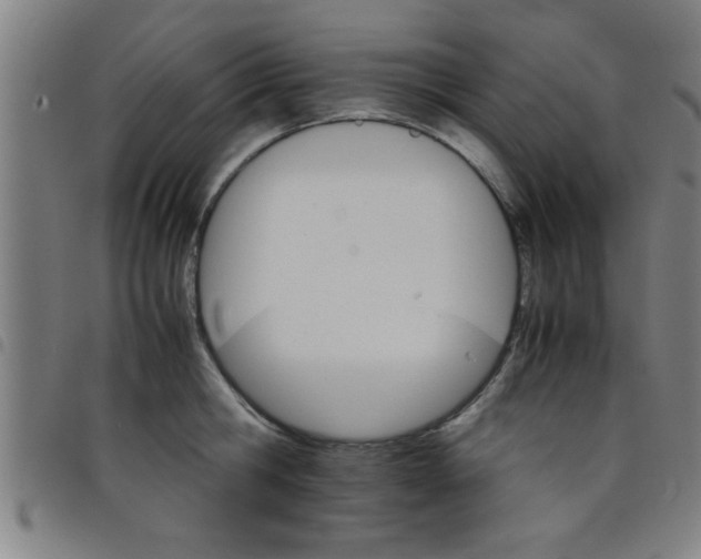 X0000098040806200804251038