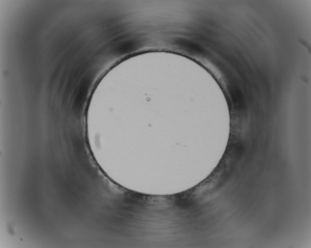 X0000098040807200804251038