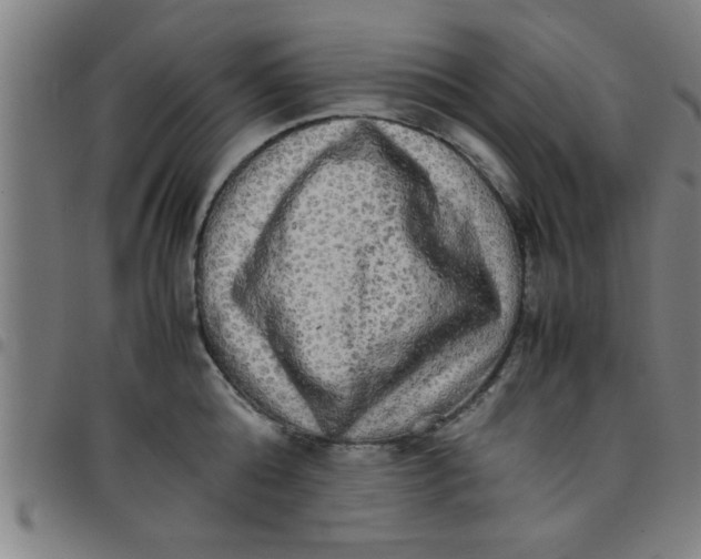 X0000098040808200804251038