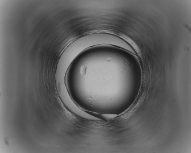 X0000098040809200804251038