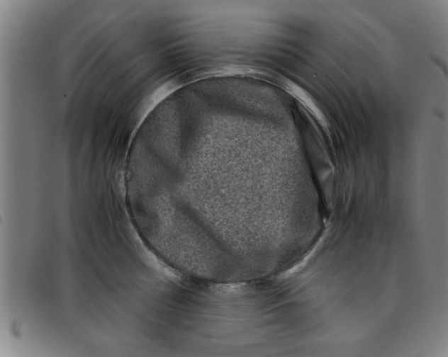 X0000098040810200804251038