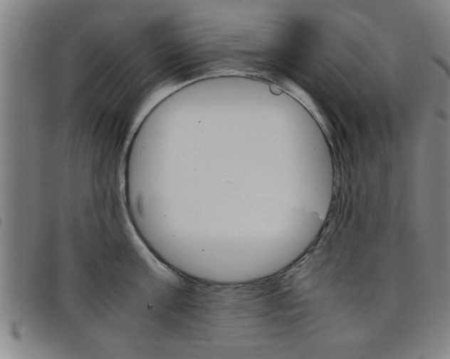 X0000098040811200804251038