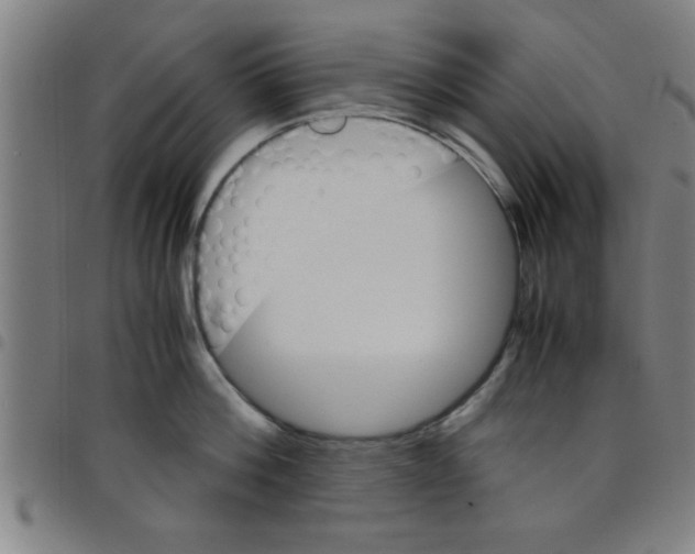 X0000098040812200804251038