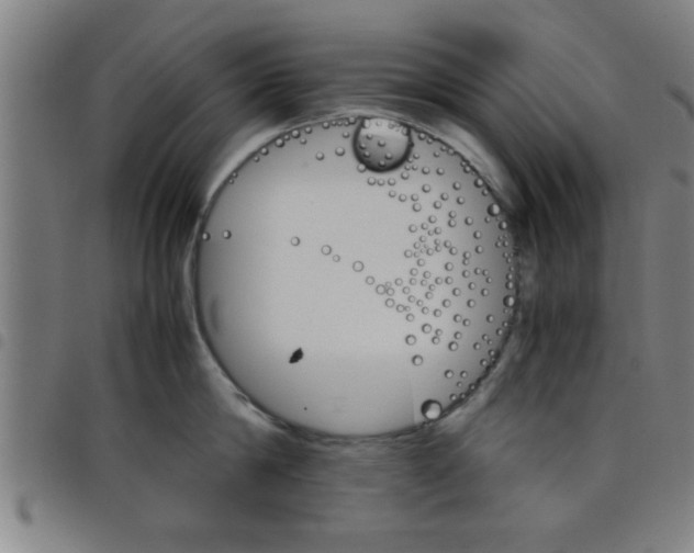 X0000098040814200804251038