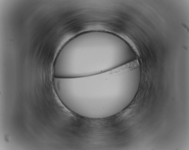 X0000098040815200804251038