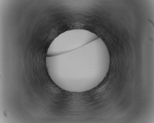 X0000098040818200804251037