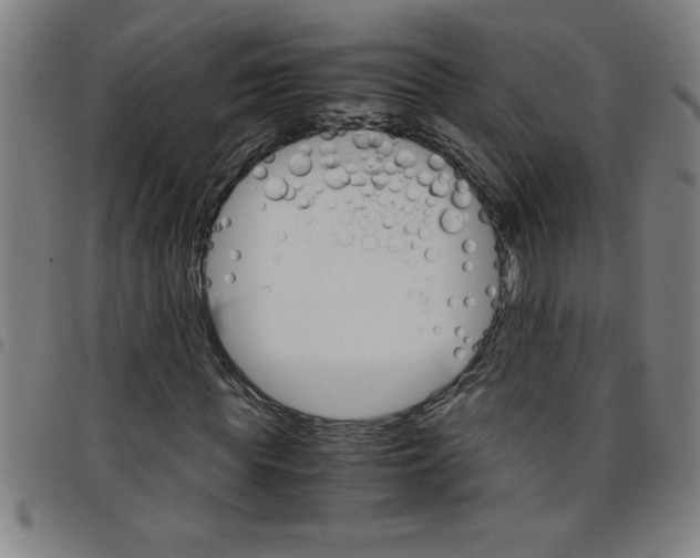 X0000098040819200804251037