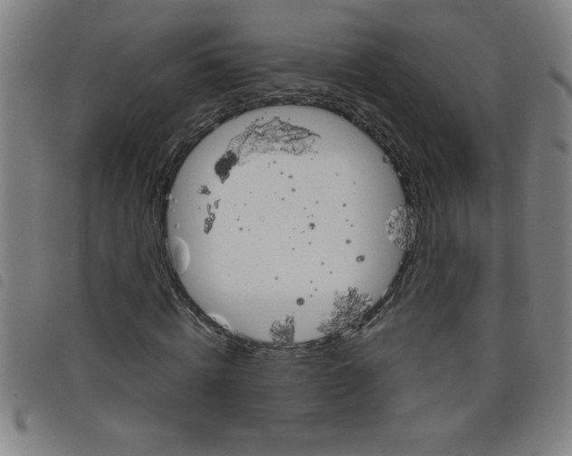 X0000098040820200804251037