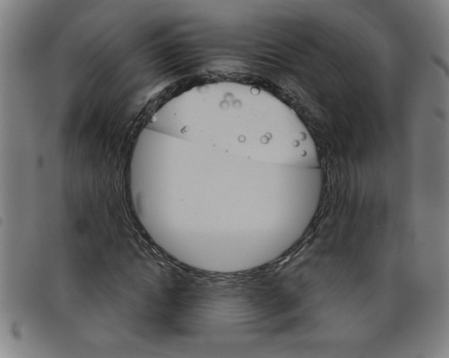 X0000098040822200804251037