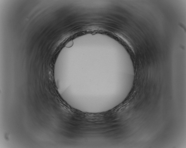 X0000098040823200804251037