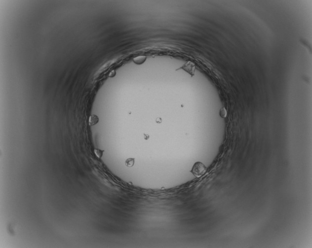 X0000098040824200804251037