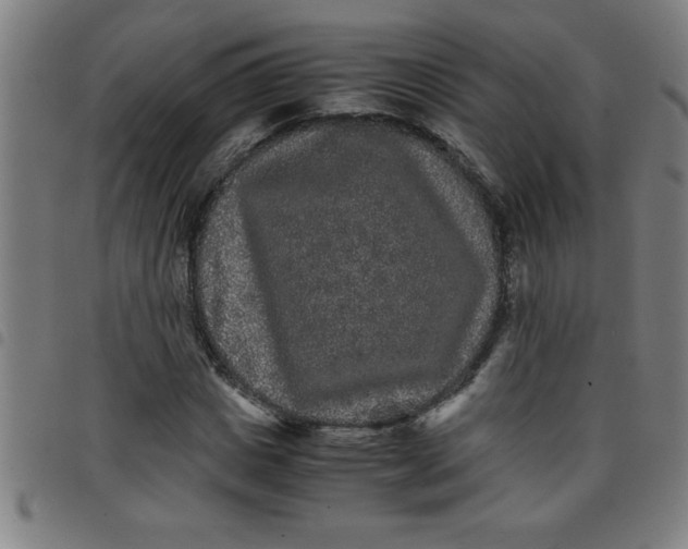 X0000098040825200804251037