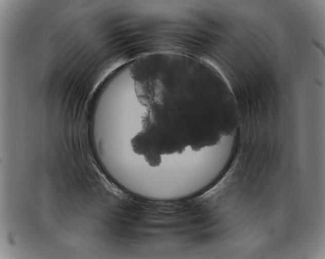 X0000098040827200804251037