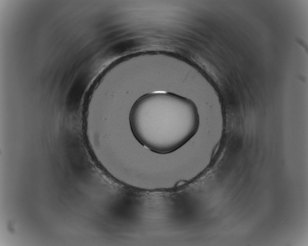 X0000098040828200804251037