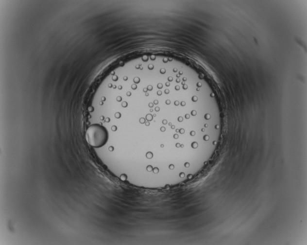 X0000098040829200804251037