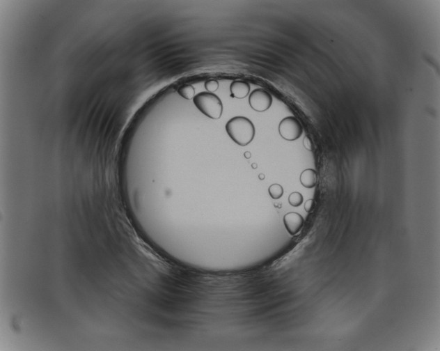 X0000098040830200804251037