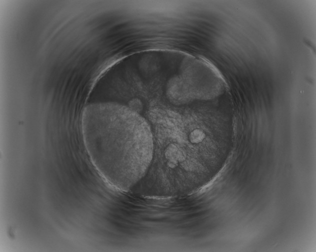 X0000098040831200804251037