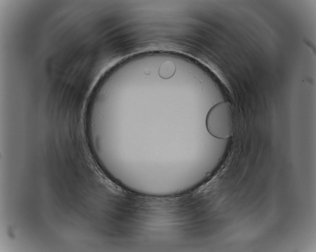 X0000098040832200804251037